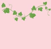 Simplicity ivy freehand drawing flat design. vector