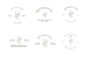 paquete de logotipo mínimo floral botánico de estilo retro vintage
