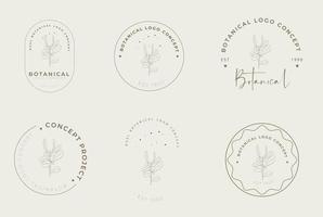 Hand drawn floral botanical miniaml retro style logo pack vector