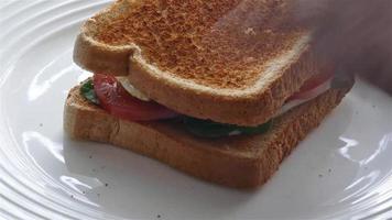 Sandwich made on plate and eating time lapse video