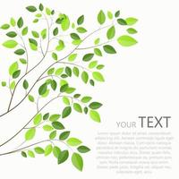 Beautiful Green Tree on a White Background Vector Illustration