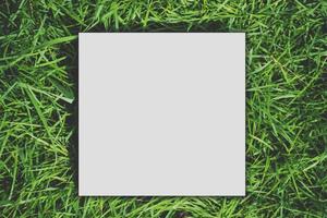 maqueta de plantilla blanca de tarjeta de papel espacio de copia en blanco sobre una hierba verde foto