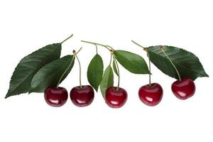 cherries isolated on white background clipping path