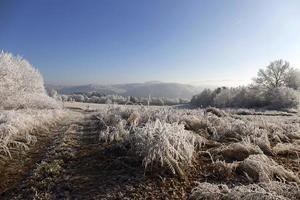 Hermoso paisaje nevado de cuento de hadas con cielo azul en el centro de Bohemia, República Checa foto