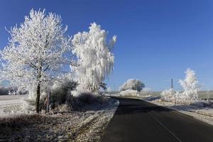 Beautiful fairytale snowy winter Countryside with blue Sky in Central Bohemia, Czech Republic photo