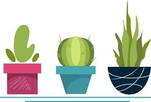 Cactus in flower pot set vector