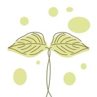 One leaf-shaped line vector