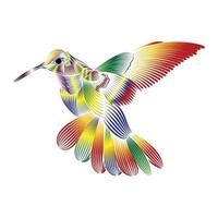 colibri bird line art illustration vector