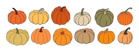 Big set of various hand drawn pumpkin squash in warm fall colors vector
