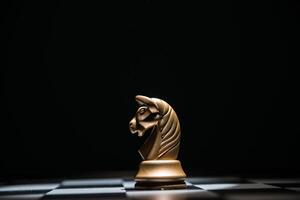 chess game horse photo