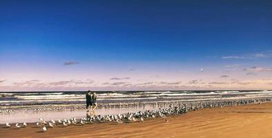 A couple strolling between seagulls. photo