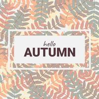 Autumn Background Design with Rowan Leaves vector