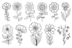 Vector abstract floral set. Thin black outline doodle