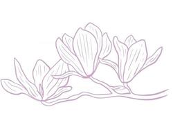 Magnolia flower minimalistic sketch vector