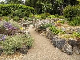 Camino a través de un jardín de rocas con plantas y árboles. foto