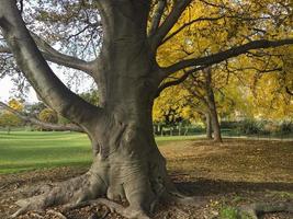 otoño en parc monceau en parís, francia foto