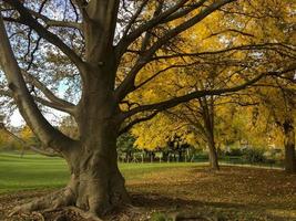 otoño en parc monceau en parís, francia foto