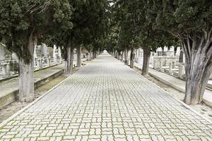 camino con profundidad en un cementerio foto