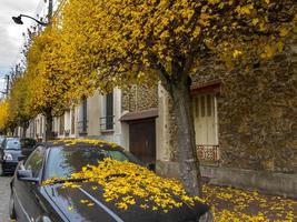 Automn in the city photo