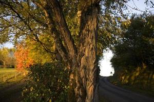 Autumn landscape in the Lot region, France photo