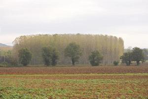 Autumn in the Lot, France photo