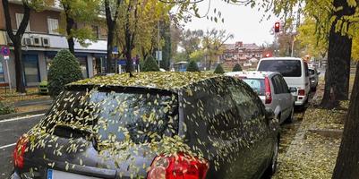 Automn in the city photo