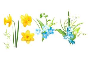 spring flower vector