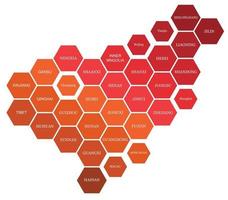 China mapa político dividido por estado colorido geometría hexagonal. vector