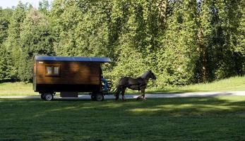 carruaje tirado por caballos en el prado francés foto