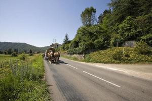 carruaje de caballos en las carreteras de francia foto