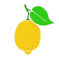 Lemon  with green leaf. Yellow  flat hand drawn citrus fruit. vector