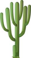 Cactus saguaro en estilo de dibujos animados aislado sobre fondo blanco. vector