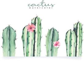 cactus pintado con acuarelas vector