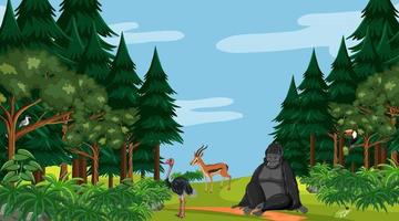Forest at daytime scene with different wild animals vector