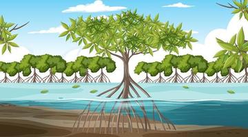 Mangrove forest landscape scene at daytime vector