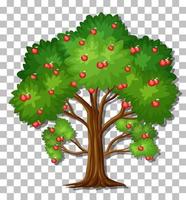 Apple tree isolated vector