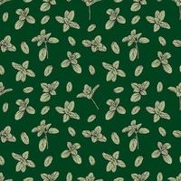 basil seamless  pattern vector