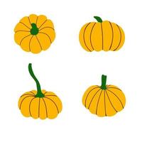 Collection of yellow  pumpkins vector