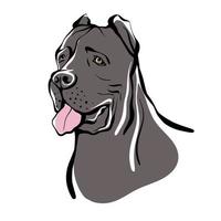 bosquejo de cane corso. retrato de un perro de la raza cane corso. vector