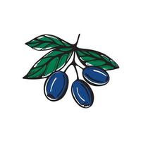 branch with olives. Vector illustration