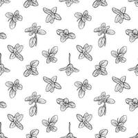 basil leaves  seamless  pattern vector