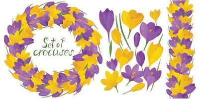 Round frame with beautiful yellow and lilac crocuses vector