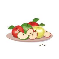 apples on a plate. Whole fruit with leaf, halves and slice with seeds vector