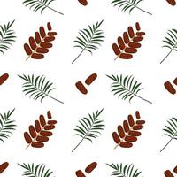 Seamless pattern with date fruit and palm branch. print exotic food vector