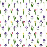 seamless pattern of iris and tulips flowers. print with green leaves vector