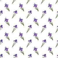 lindo patrón transparente de flores de iris. estampado brillante de primavera y verano vector