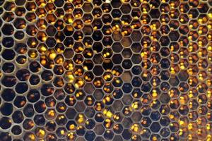 gota de miel de abeja goteo de panales hexagonales