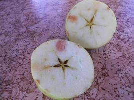 Sweet fruit apple growing on tree with leaves green photo