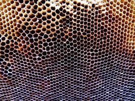 Fondo de textura hexagonal, panal de cera de una colmena de abejas foto