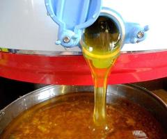 Background texture, dropping drops of sweet honey photo